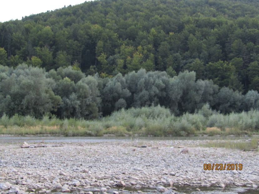  - Hanul vanatorului