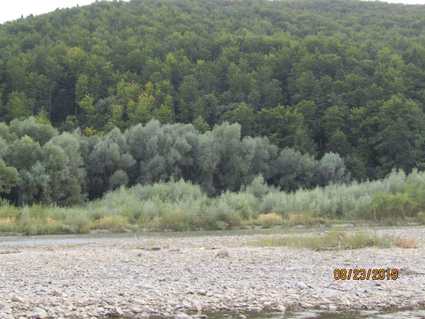  - Hanul vanatorului