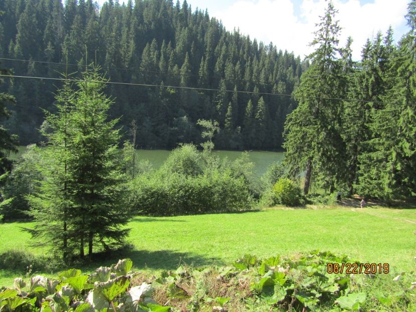  - Lacul rosu