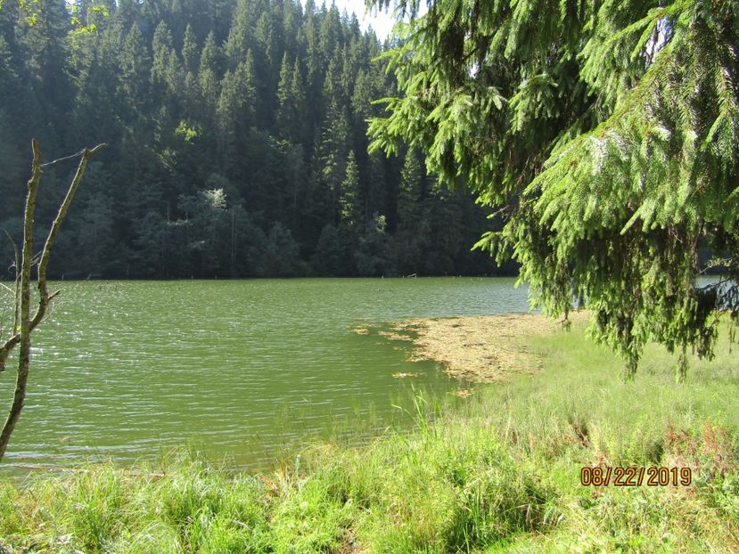  - Lacul rosu