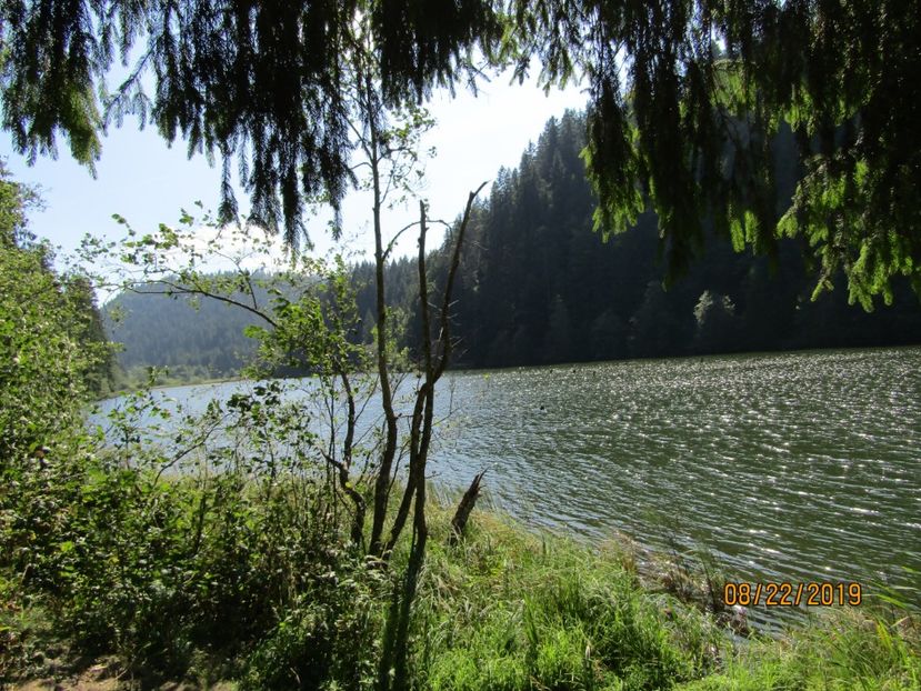  - Lacul rosu