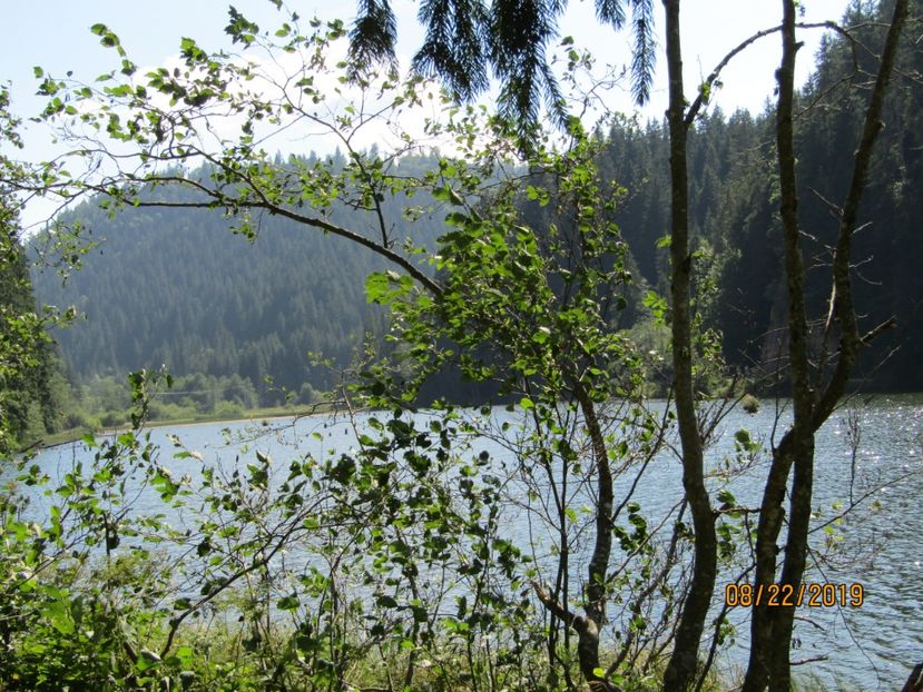  - Lacul rosu