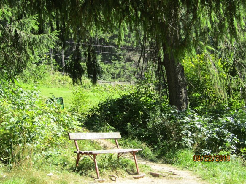  - Lacul rosu