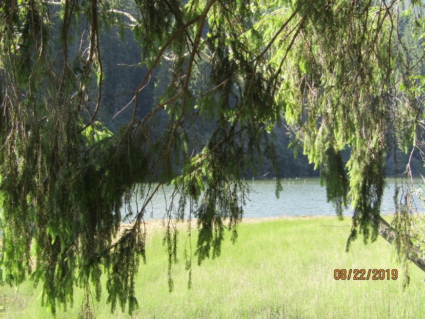  - Lacul rosu