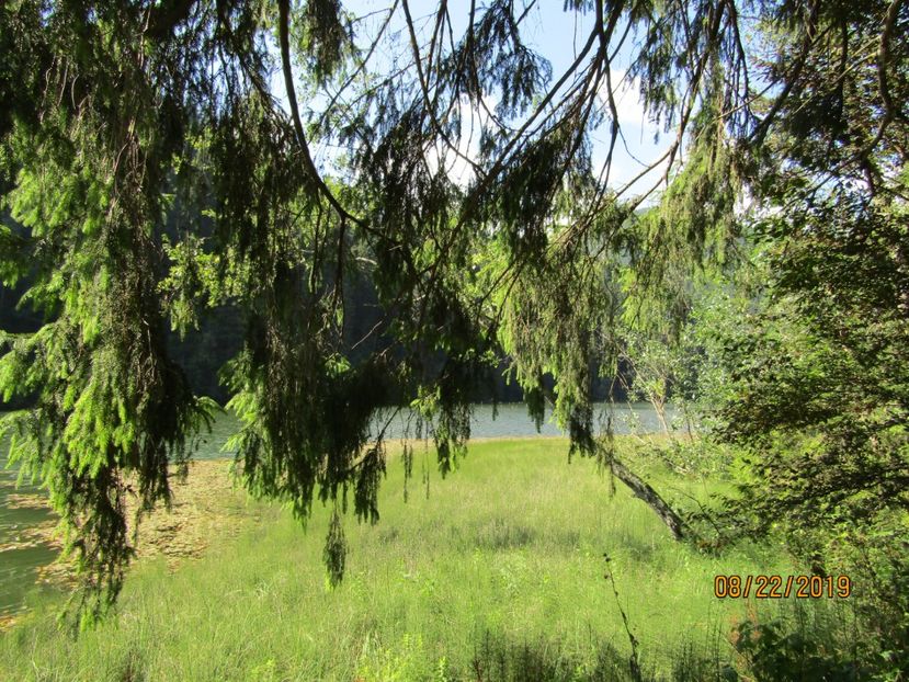  - Lacul rosu