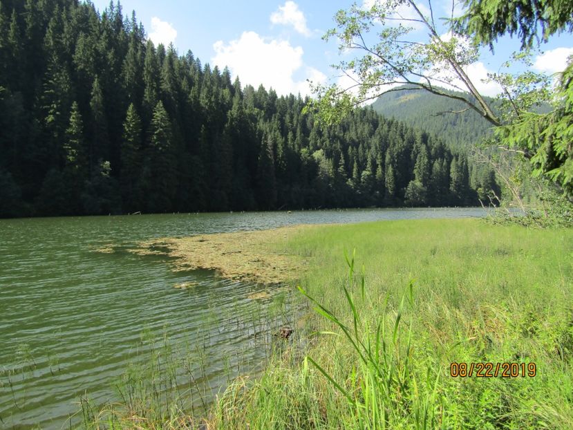  - Lacul rosu