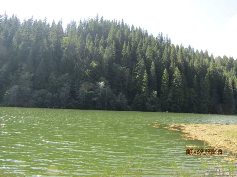  - Lacul rosu