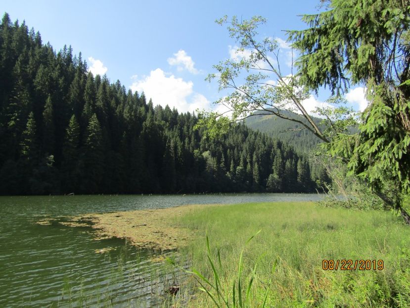  - Lacul rosu