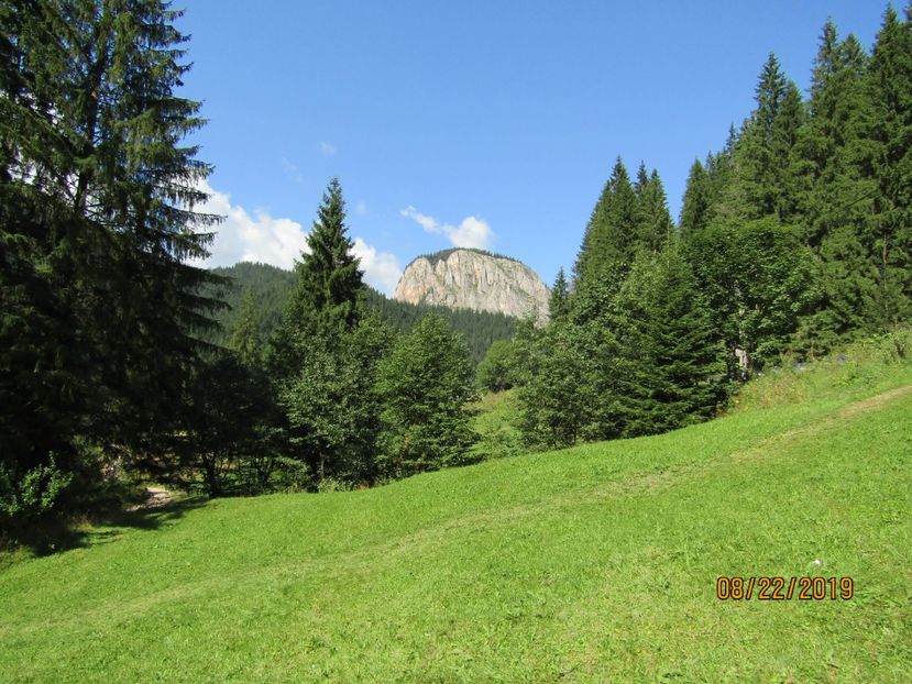  - Lacul rosu