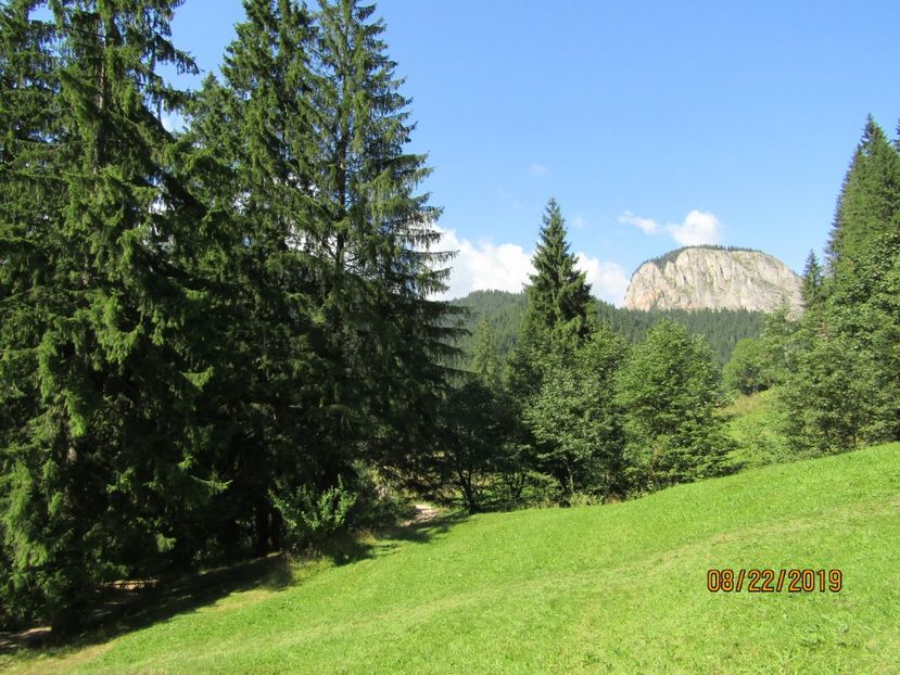  - Lacul rosu