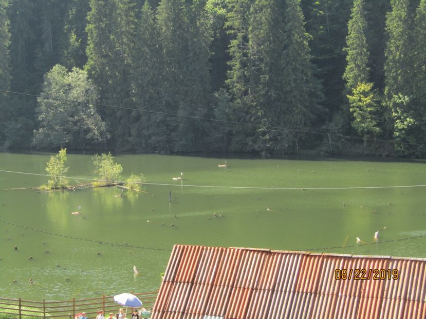  - Lacul rosu