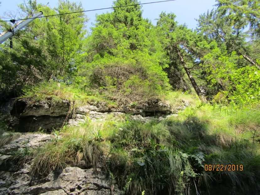  - Lacul rosu