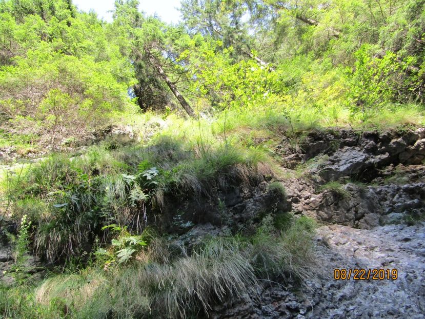  - Lacul rosu
