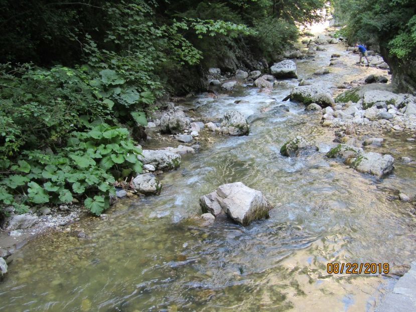  - Lacul rosu