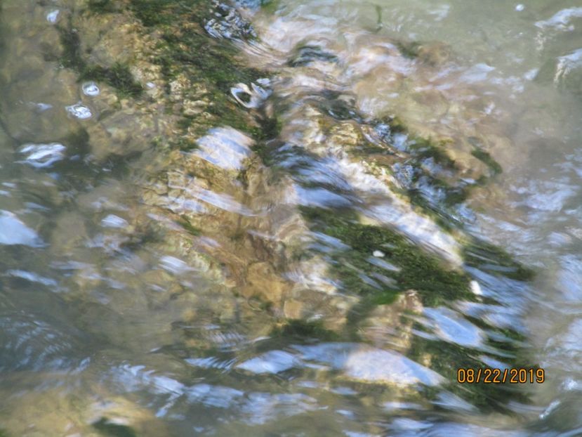  - Lacul rosu