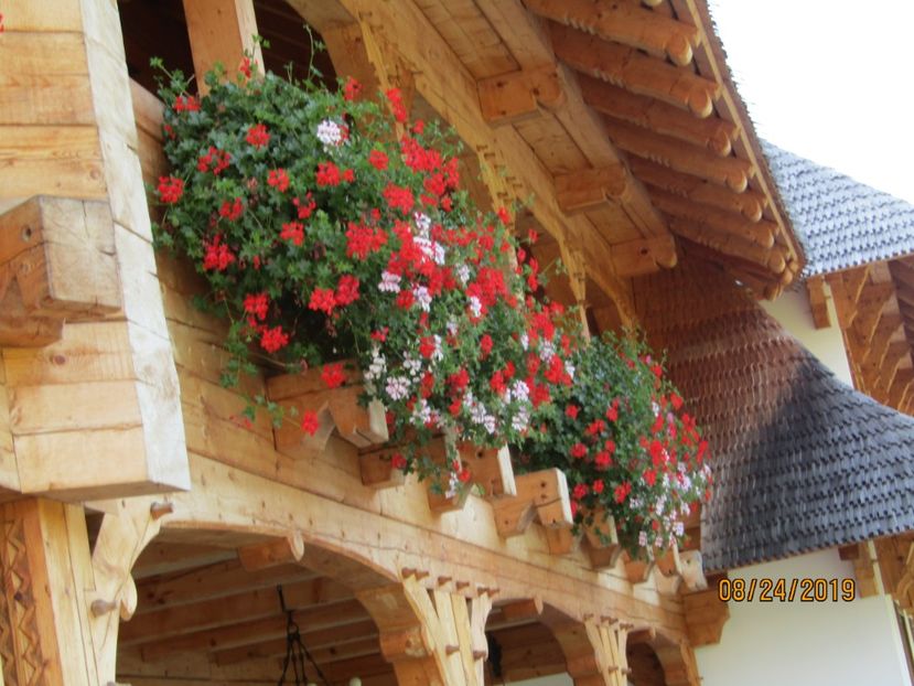  - Manastirea Barsana