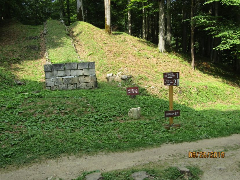  - Sarmisagetuza