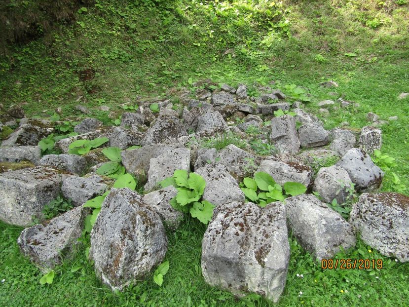  - Sarmisagetuza
