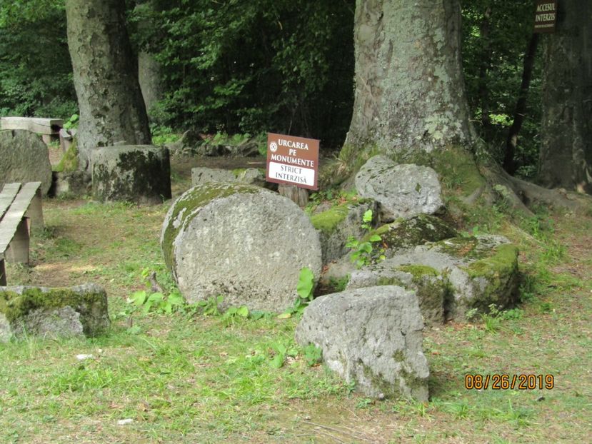  - Sarmisagetuza
