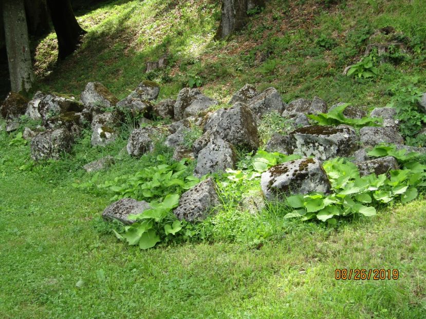  - Sarmisagetuza