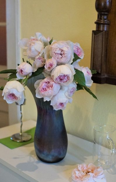  - The Wedgwood Rose