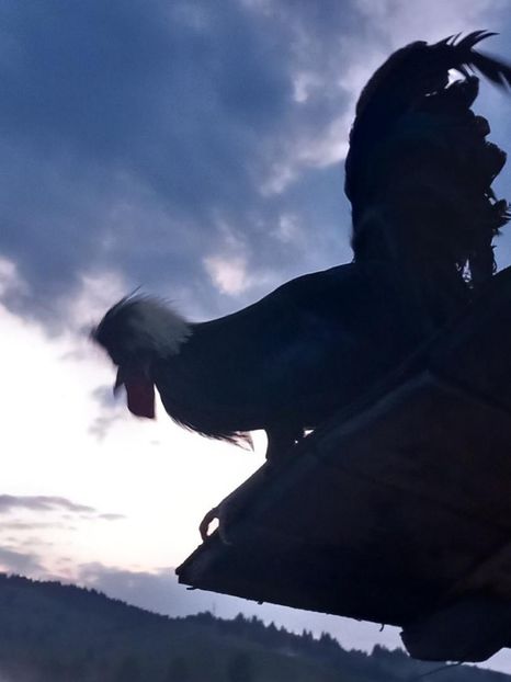 Motat pe sura - Un nou inceput