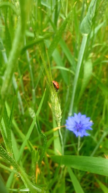  - Universul si Natura