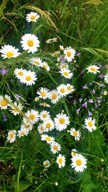  - Universul si Natura