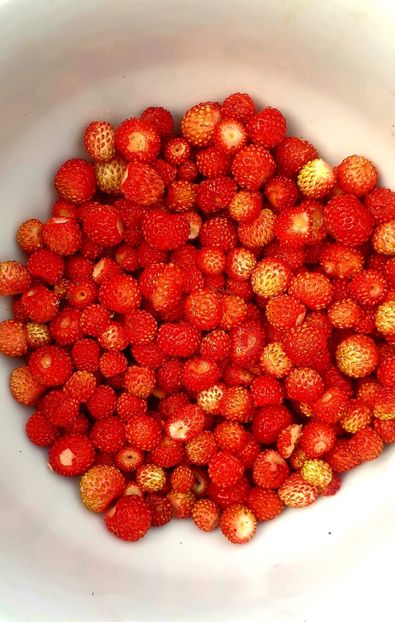  - Universul si Natura