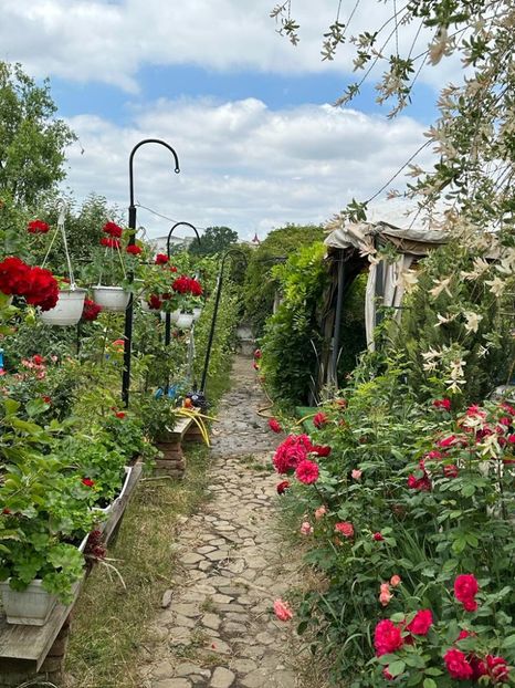 IMG-20230614-WA0102 - 0 0002 Gradina Roman 16 06 2023