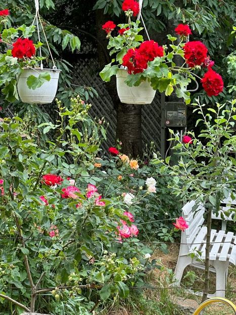 IMG-20230614-WA0160 - 0 0002 Gradina Roman 16 06 2023