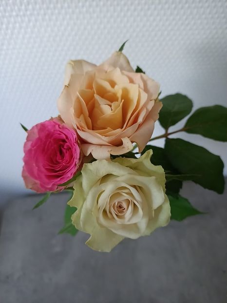 Img.2023.06.15 - Calendarul