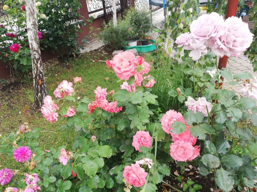  - Dee dee Bridgewater