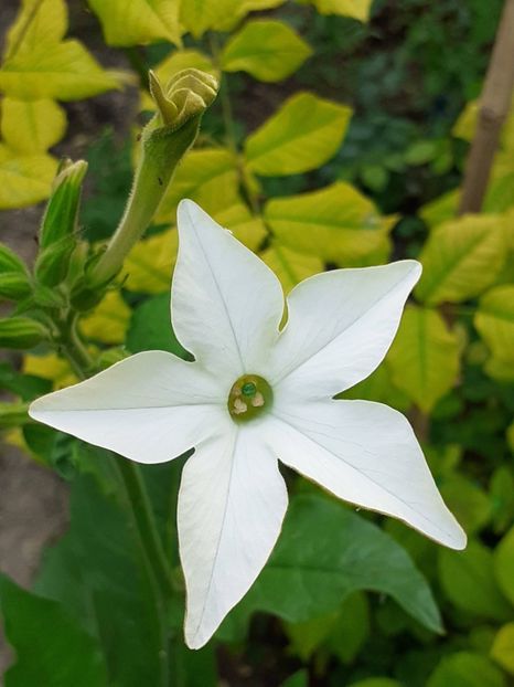 20230615_183906(0) - IUNIE 2023