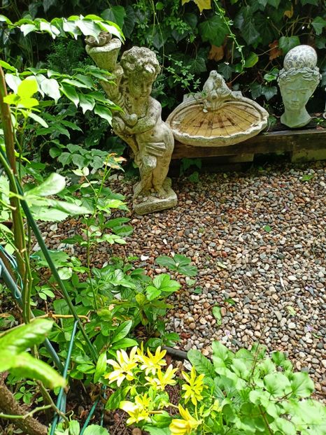  - Grădina 2023 continuare 3