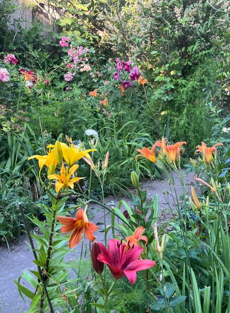 6AF56ED5-8ABE-445E-BB8C-C95814A878CC - Crini 2016 2023