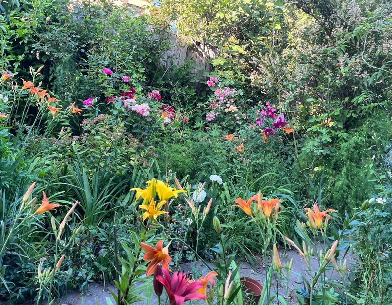 159EE04B-89E9-426C-9BC2-D890B65BA38B - Crini 2016 2023