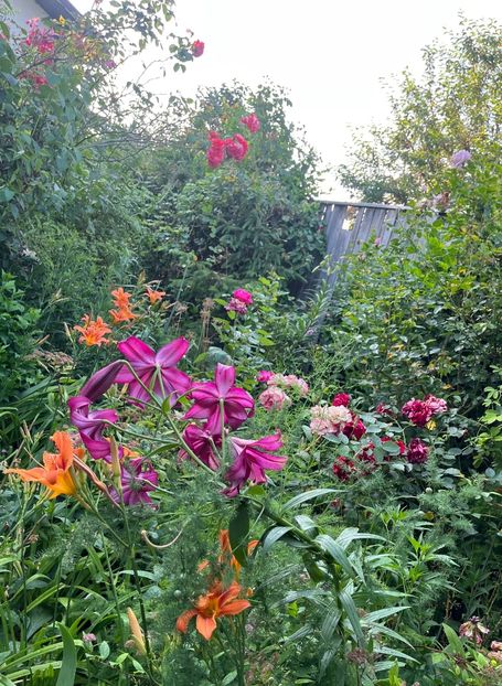 F13E2D67-302E-485C-8039-94246E4B6952 - Crini 2016 2023