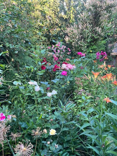 263E4535-9251-4F01-92FD-4238801992A3 - Crini 2016 2023