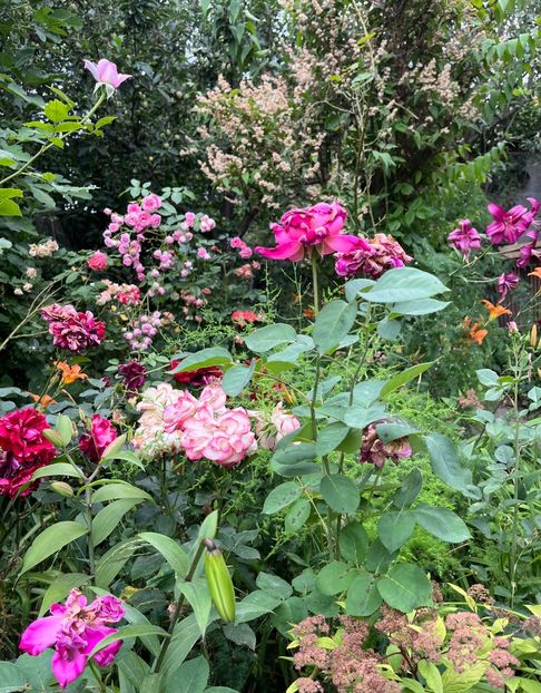 A7B7B131-A2A5-443D-B6E6-E01A00D31F27 - Crini 2016 2023