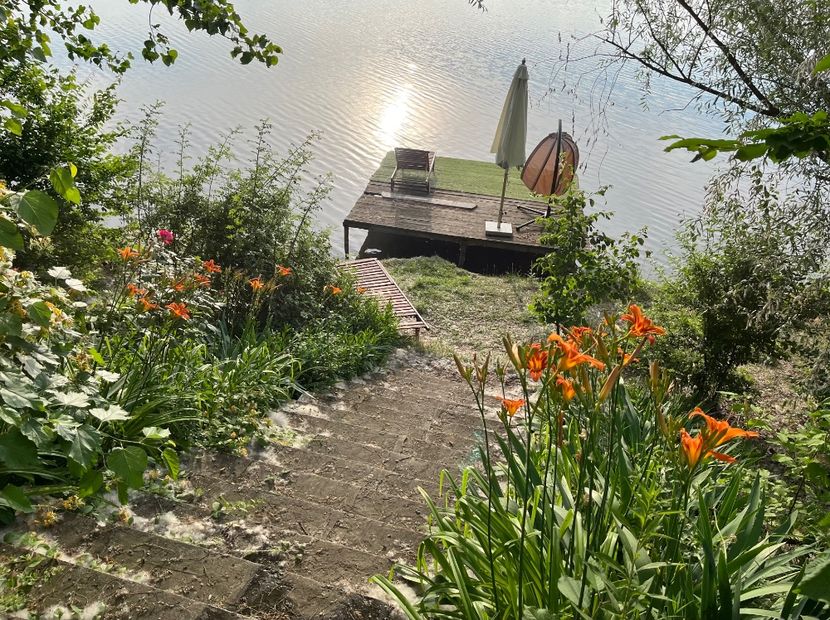 BF935E31-A488-41D8-8A78-545AE07A35E4 - Flori la Balta 2016 2023