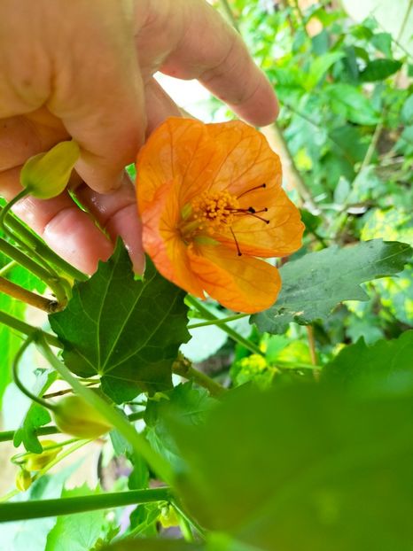 IMG20230616131745 - Iunie 2023 vol 1