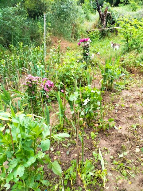 IMG20230613191355 - Iunie 2023 vol 1