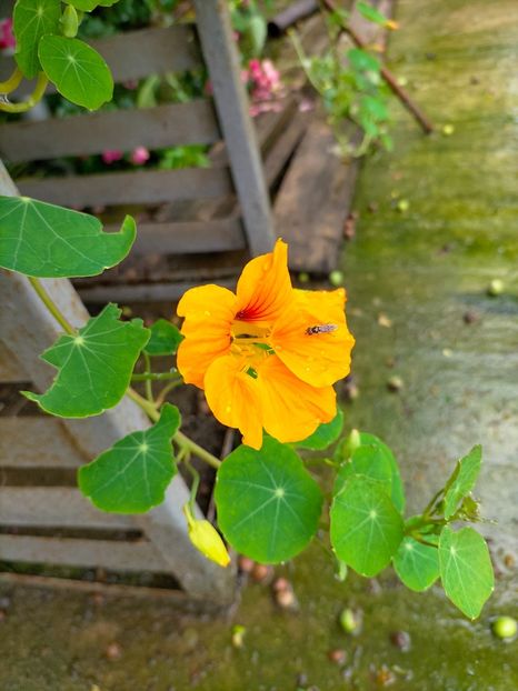 IMG20230617133611 - Iunie 2023 vol 1