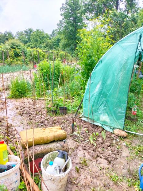 IMG20230613082025 - Iunie 2023 vol 1