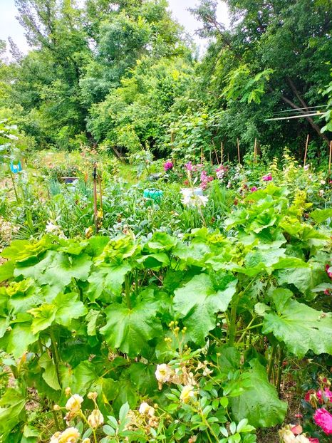 IMG20230617131830 - Iunie 2023 vol 1