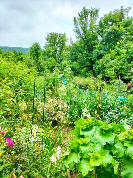 IMG20230617131833 - Iunie 2023 vol 1