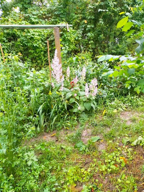 IMG20230617131903 - Iunie 2023 vol 1