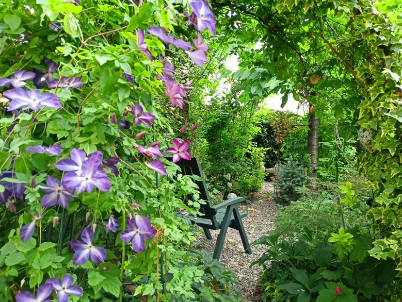 18.06.2023 - Grădina 2023 continuare 3