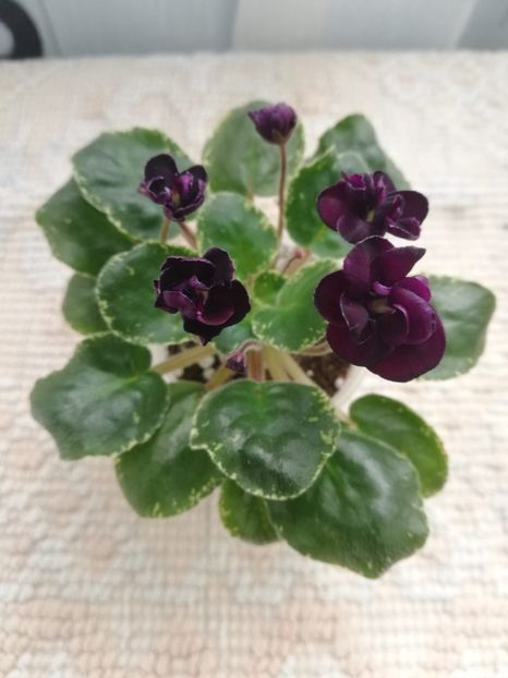 23 mai - Dark Night of the Soul